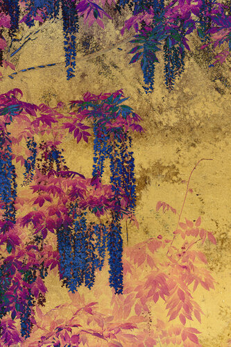 When the image withdraws V by August Langhout, Photography for Sale on Singulart