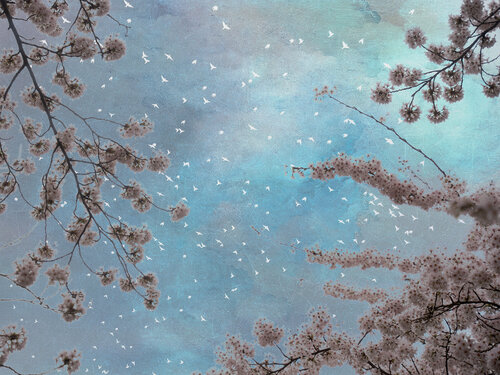 Whispers of the Sky V August Langhout