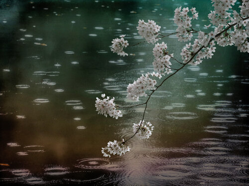 Echo of light 11  (Limited Edition of 7) par August Langhout, Photographie en vente sur Singulart