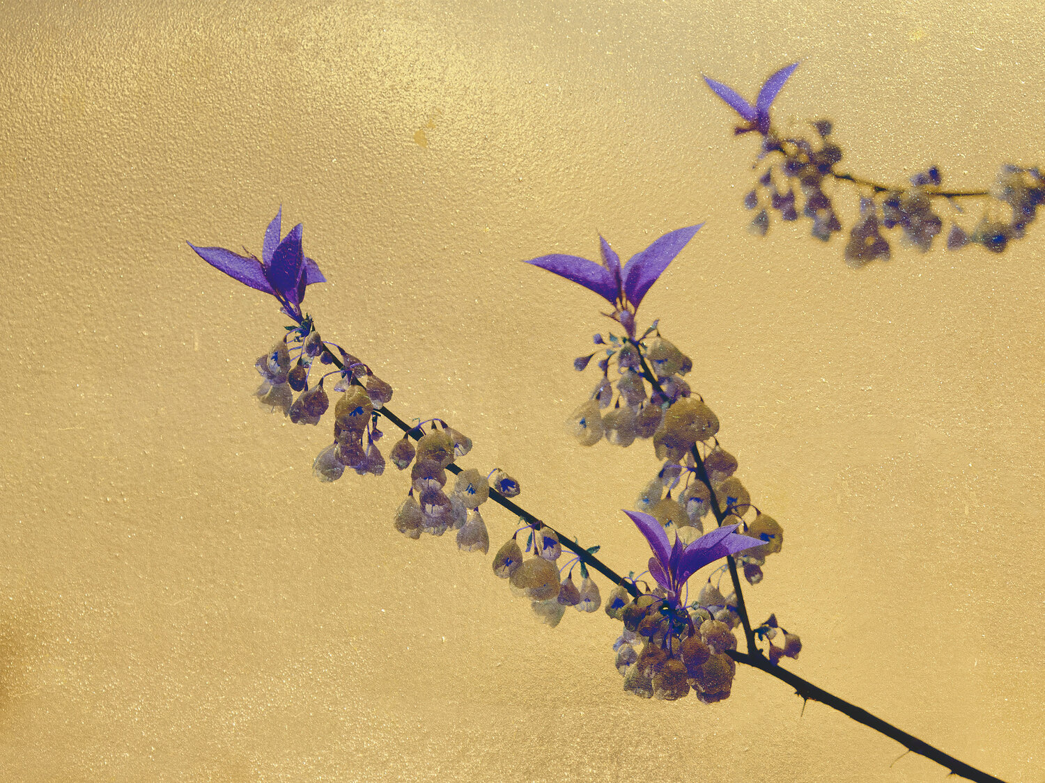 Golden Voids #22 August Langhout