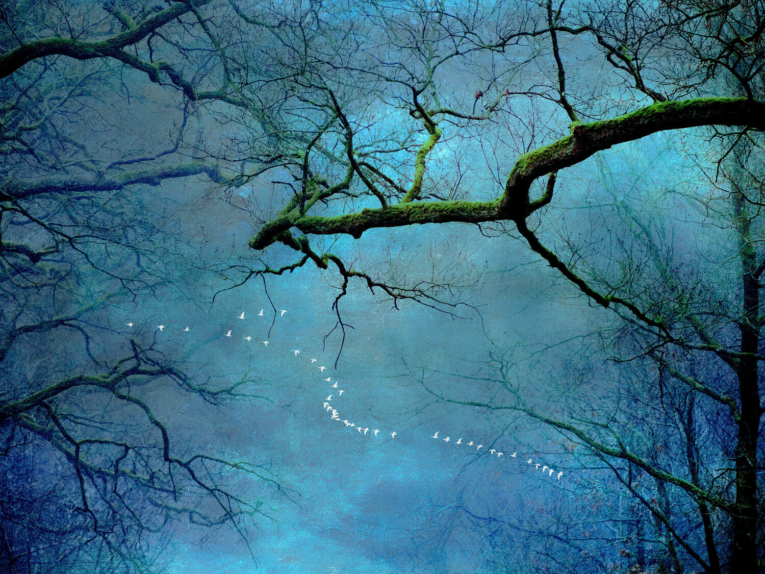 Whispers of the Sky IV August Langhout Fotografia in vendita