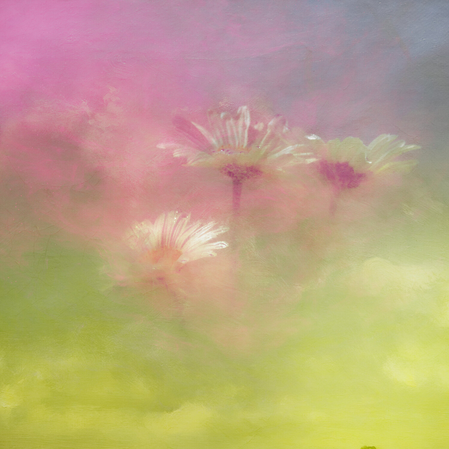 Sunken Beauty #02 August Langhout Fotografie te koop