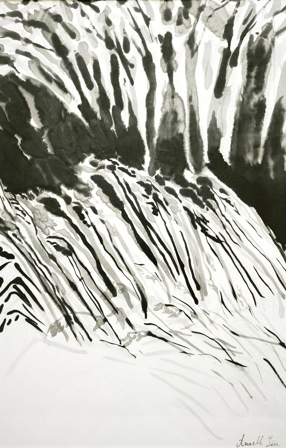 Phragmites Armelle Léon