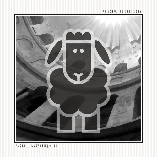 FLORI JERUSALEM - BLACK ANIMAL by Amadeus Fuchs, Photography for Sale on Singulart