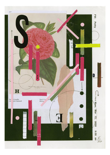 Shredded Camellia par Ben Serbutt, Œuvre sur papier en vente sur Singulart