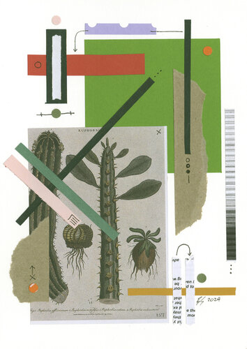 Euphorbia by Ben Serbutt, Work on Paper for Sale on Singulart