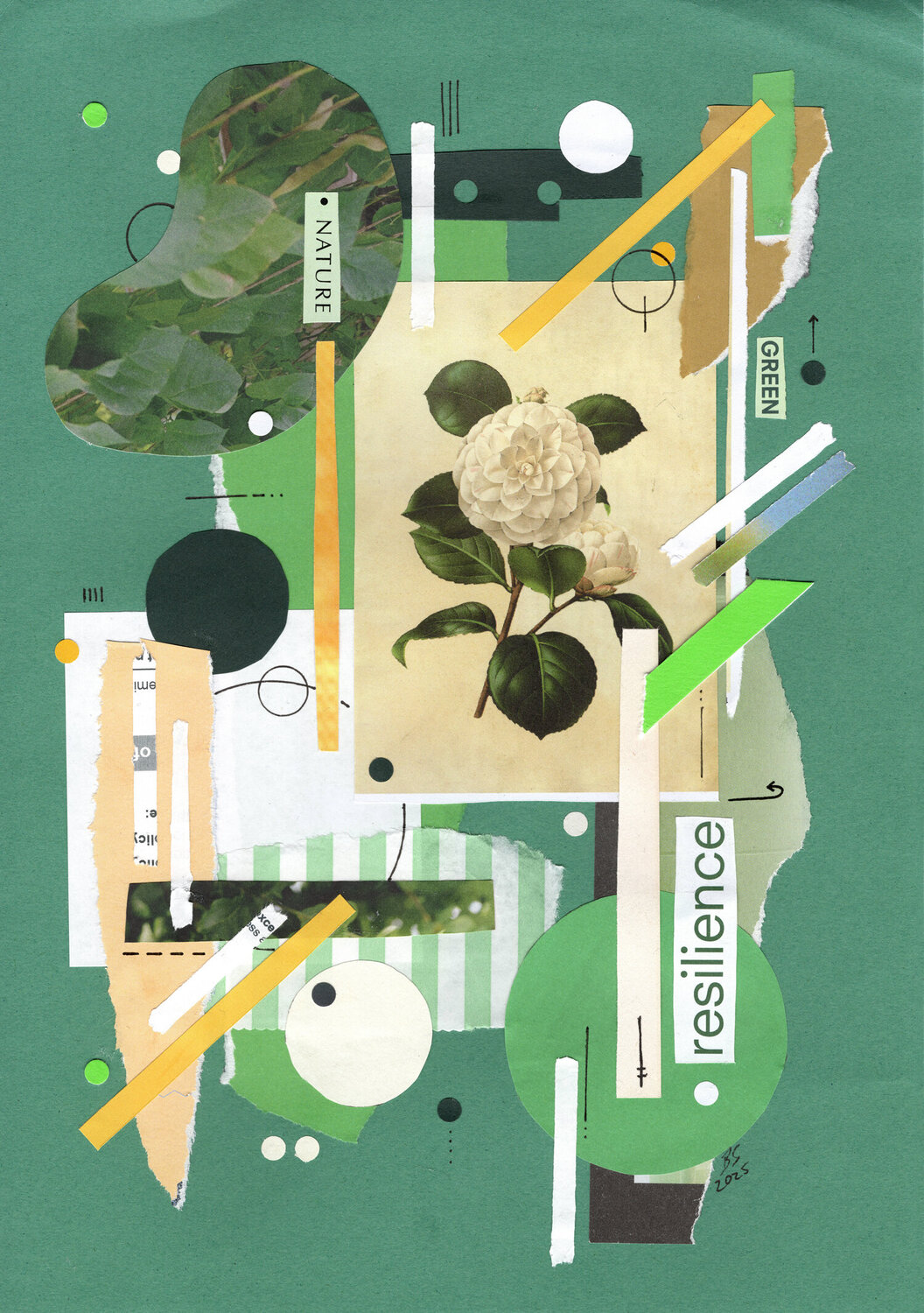 The Resilience of Nature Ben Serbutt