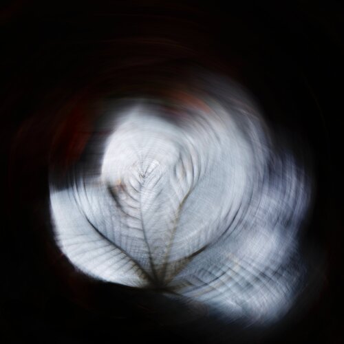 Eternal Cycle of Love and Life van Guillem Soul, Fotografie te koop op Singulart