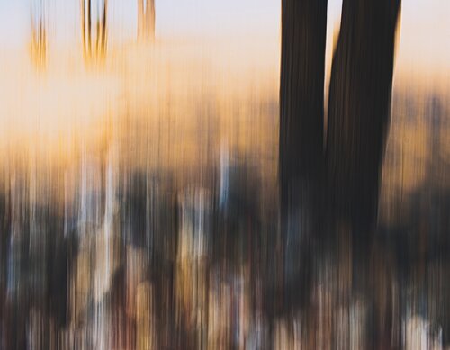 Earth's Laws by Guillem Soul, 사진 for Sale on Singulart