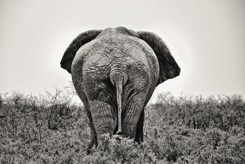 Spuren der Zeit par Michael Schaake, Photographie en vente sur Singulart