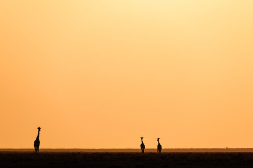 Spuren der Zeit par Michael Schaake, Photographie en vente sur Singulart