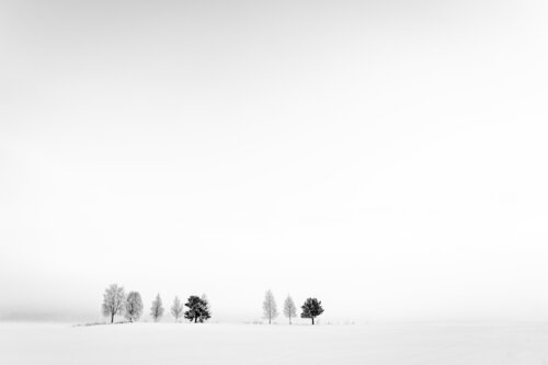 Grip of the cold von Michael Schaake, Fotografie kaufen auf Singulart