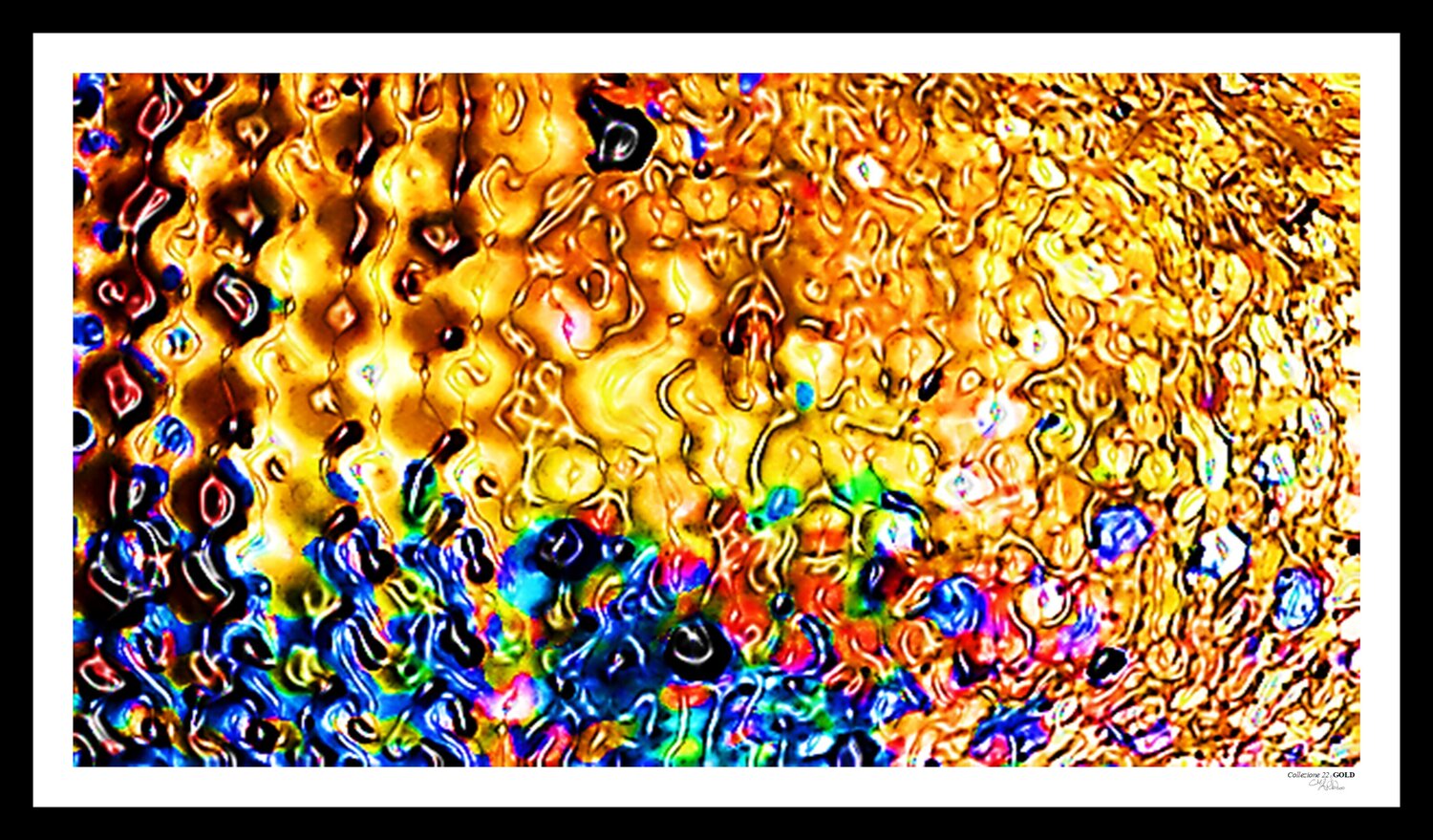 GOLD Claudia Maria Albiero
