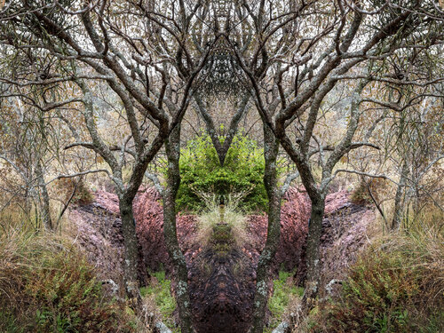 Forms Beneath: Cullinan, Sanctum (6451) by Ivan Muller, Photography for Sale on Singulart