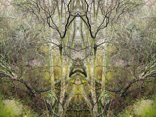 Forms Beneath: Cornwall Hill, Spire (6006) par Ivan Muller, Photographie en vente sur Singulart