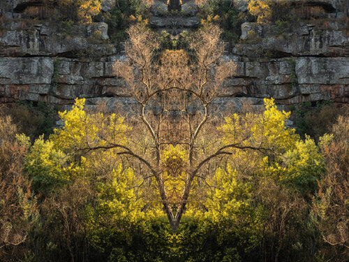 Forms Beneath: Cullinan, Crown (7954) par Ivan Muller, Photographie en vente sur Singulart