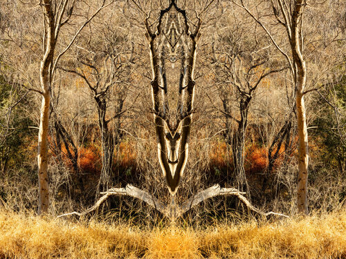 Forms Beneath: Cullinan, Totem (8021) by Ivan Muller, 写真 for Sale on Singulart