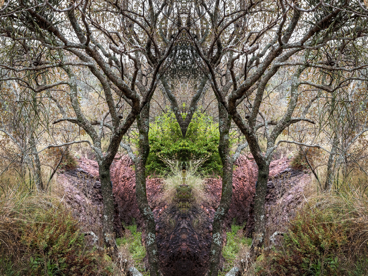 Forms Beneath: Cullinan, Sanctum (6451) Ivan Muller Fotografie te koop