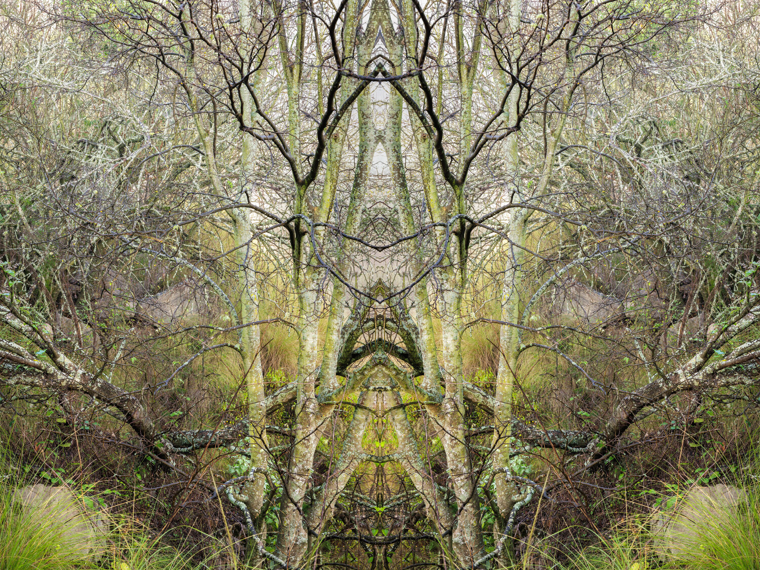 Forms Beneath: Cornwall Hill, Spire (6006) Ivan Muller Fotografía en venta