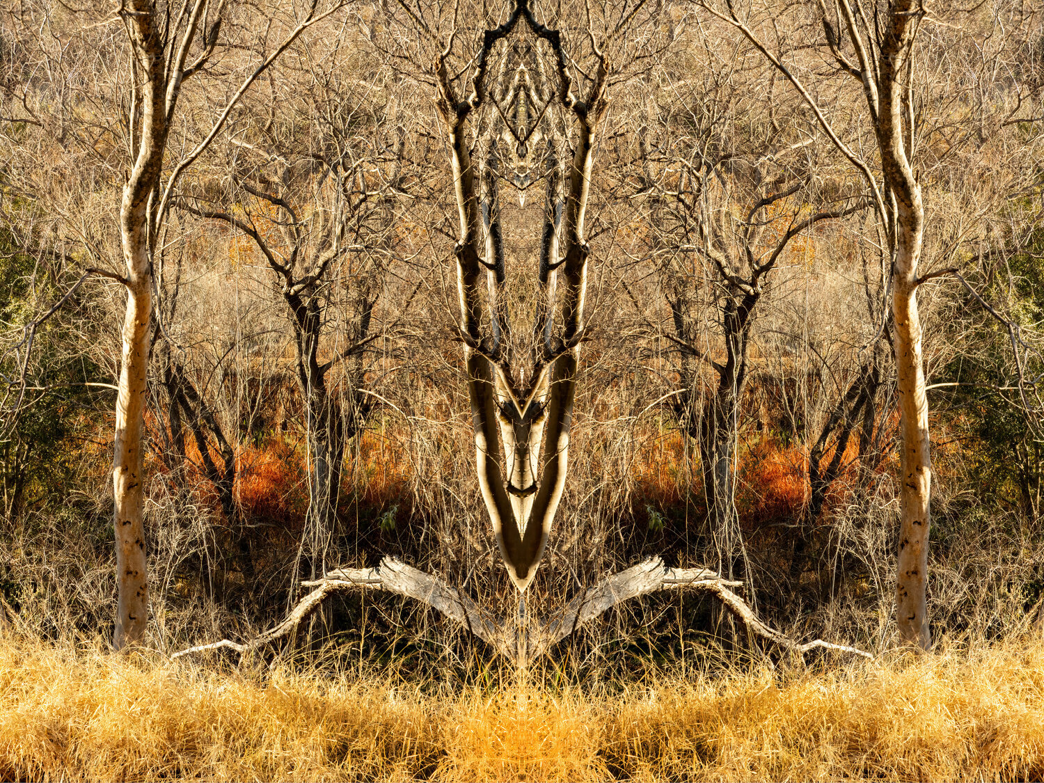 Forms Beneath: Cullinan, Totem (8021) Ivan Muller Photography for sale