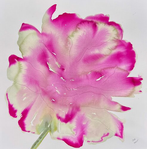 7. Bloom Portrait VII: Veil of Petals de Ina Schuppe Koistinen, Pintura a la venta en Singulart