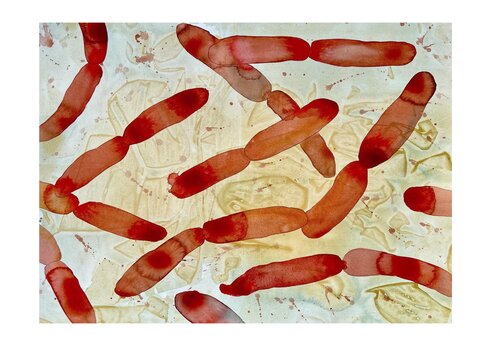 Lactobacilli: Invisible heros I de Ina Schuppe Koistinen, Pintura a la venta en Singulart