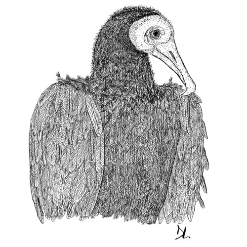 Foggy Birds II par Louis Delattre, Dessin en vente sur Singulart
