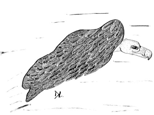 Foggy Birds IV van Louis Delattre, Tekening te koop op Singulart