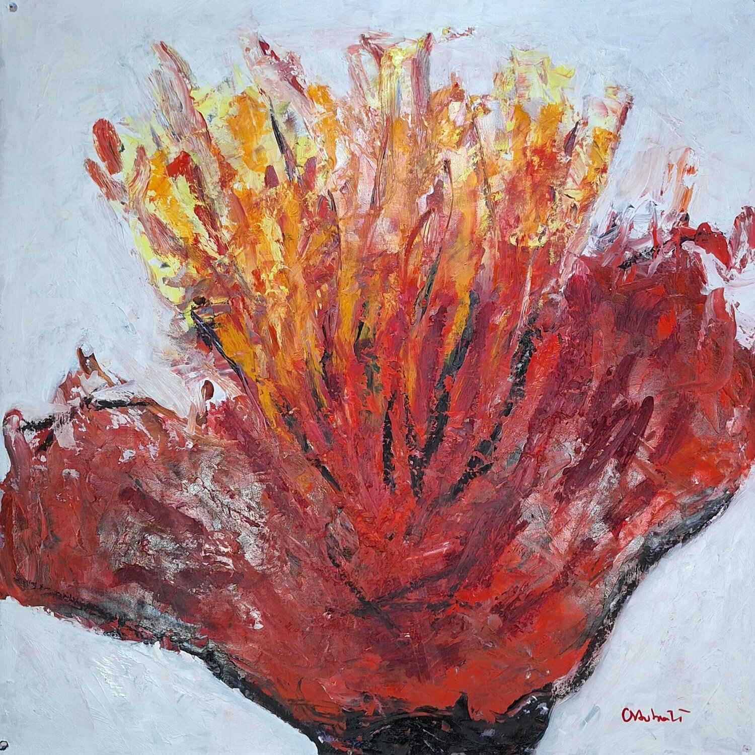 Amapola Fénix Juanjo Ortubia Origineel schilderij te koop