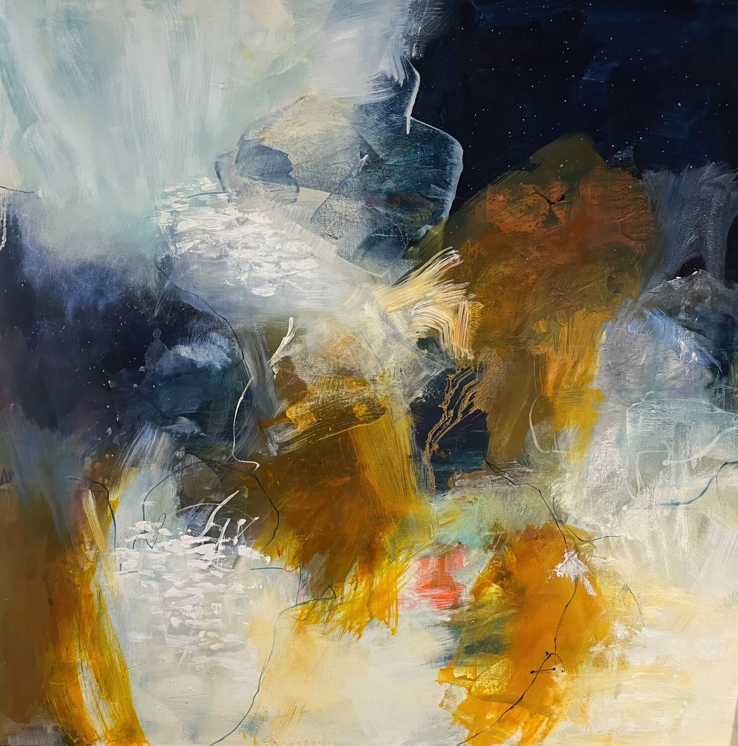 Wild Coast Monique Robidoux Art & Design