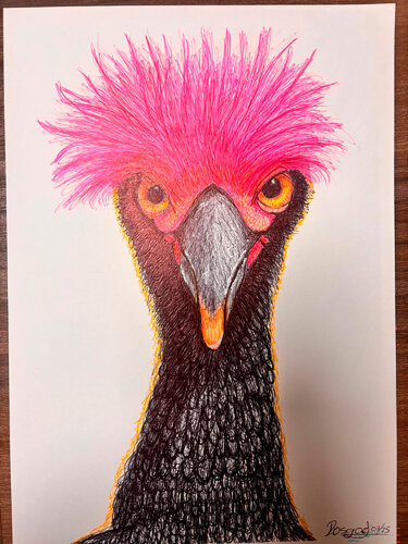 Copete Fuccia by Roberto Rosario, 소묘 for Sale on Singulart