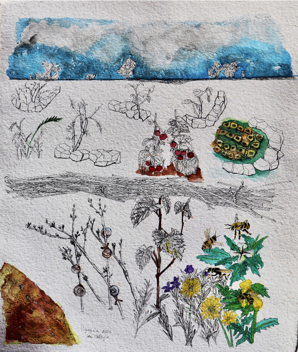 Paisaje comestible Sara Gallego Drawing for sale