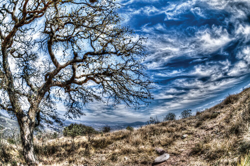 Sensaciones de Libertad , Sierra gorda de Queretaro, Mèxico van Manuela Paterna Patrucco, Fotografie te koop op Singulart