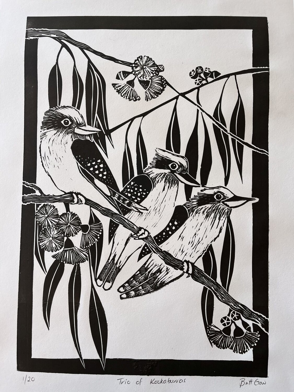 Trio of Kookaburras - Linocut Britt Gow Altri media in vendita