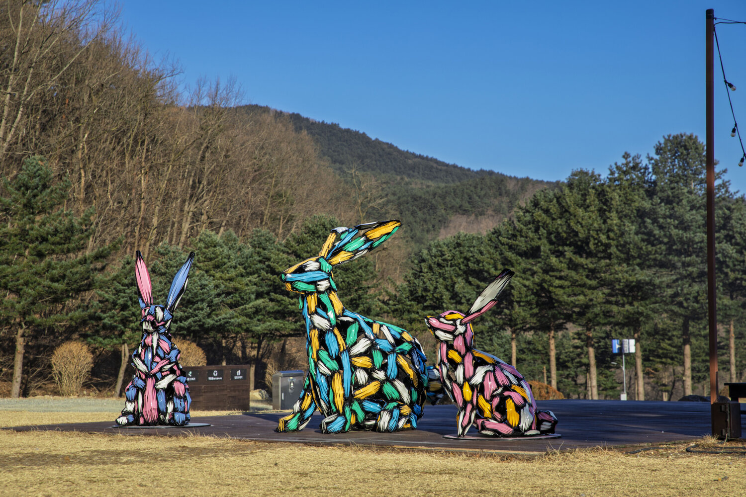 Rabbit Woo-jin Kim