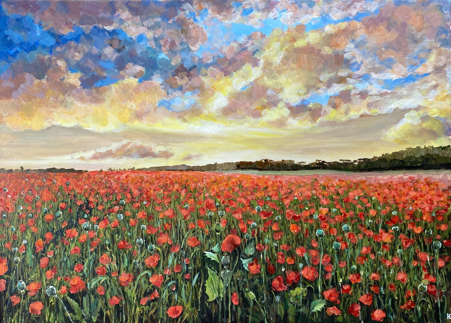 Poppy field Elena Balla