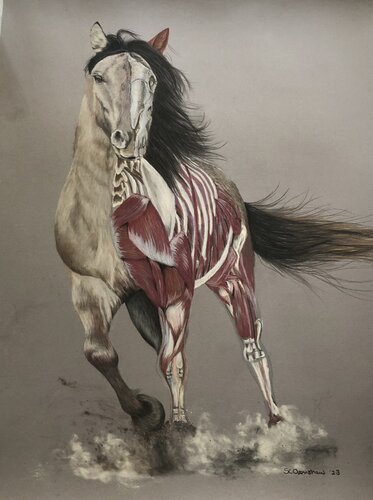 Running, running, running - where? what from? par Sandra Openshaw, Dessin en vente sur Singulart