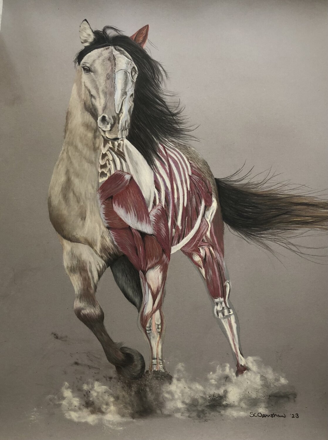 Running, running, running - where? what from? Sandra Openshaw