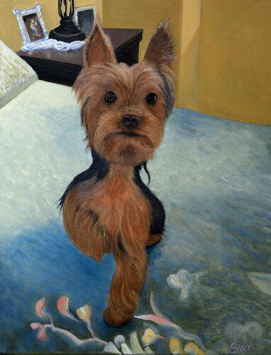 Yorkie by Philip Sieri, Painting for Sale on Singulart