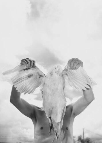 White Bird by Phương Nguyễn, 사진 for Sale on Singulart