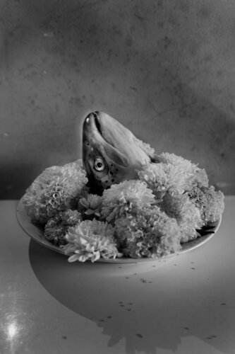Fish Dish by Phương Nguyễn, 사진 for Sale on Singulart