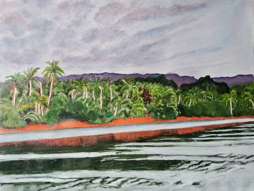 Costa Rica par Annie Darmon Tetart, Peinture en vente sur Singulart