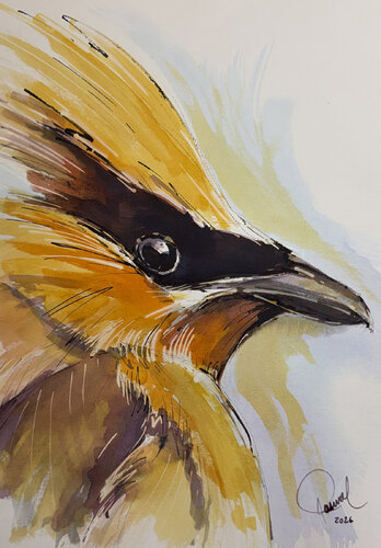 Kereru by Carlos Pascual, 紙の作品 for Sale on Singulart