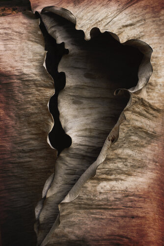 Au creux by Corinne Deniel, 写真 for Sale on Singulart