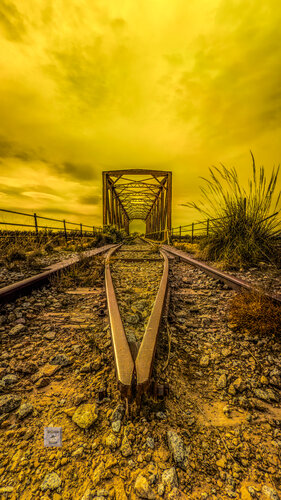𝐄ʟ 𝐎𝐱ɪᴅᴏ 𝐎ʟᴠɪᴅᴀᴅᴏ by Diego Romero, Photography for Sale on Singulart