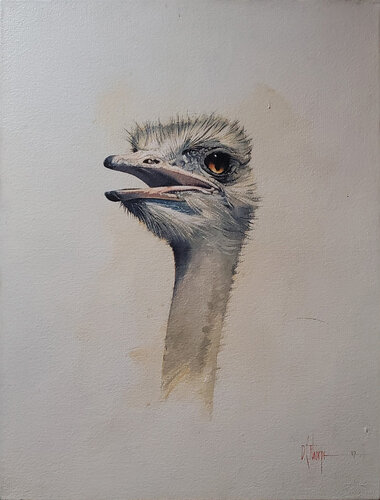 Ostrich de David Thorpe, Pintura a la venta en Singulart