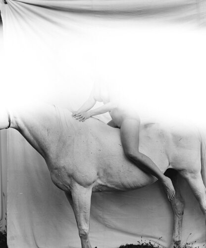 Le Cirque I by Bon Jane, Photography for Sale on Singulart