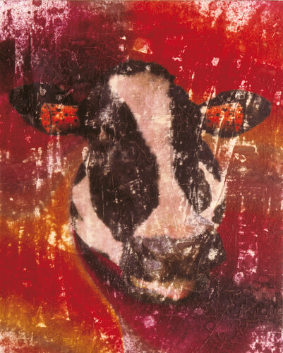 062 VACA 77 de ENRIC AROMI-MASRIERA, Pintura a la venta en Singulart