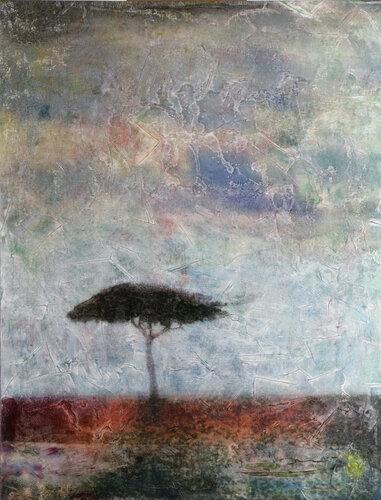 803 BOSQUE DE ESPERANZA (Forest of Hope) by ENRIC AROMI-MASRIERA, Painting for Sale on Singulart