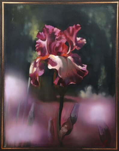 Magenta Iris by Daniel Maffia, Painting for Sale on Singulart